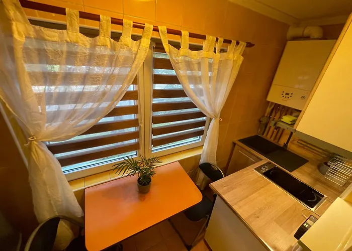 Cluj City Marasti Studio Andromeda